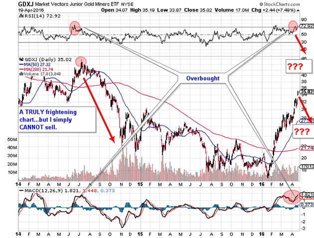 Market Vectors Junior Gold Miners Chart