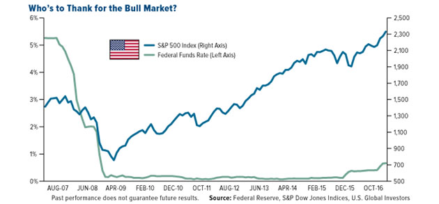 Bull Market