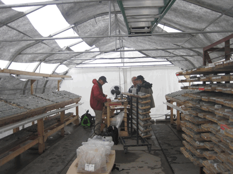 Genesis Metals Continues to Prove Up Chevrier Mineralization; Further Drilling About to Start