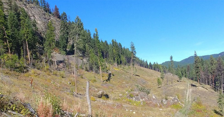 Precious Metals Company Obtains Permits for Follow-up Exploration at BC Gold-Silver Property
