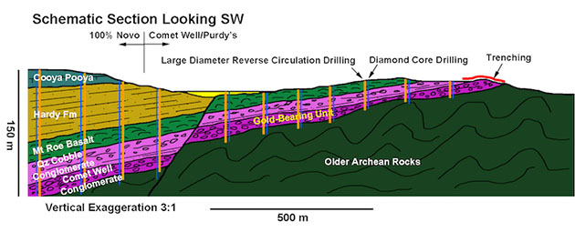 Schematic Section