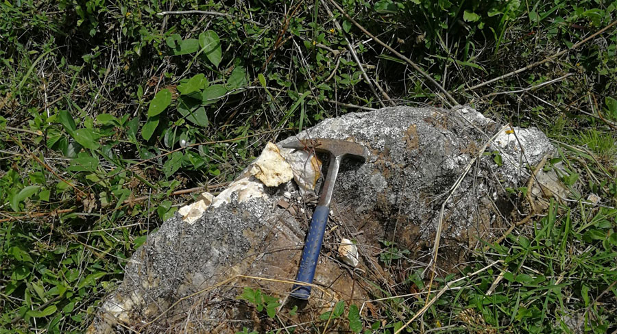 Explorer Discovers Fifth High-Grade Shoot at Colombia Project