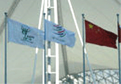 WTO flags