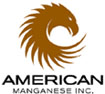 American Manganese Inc.
