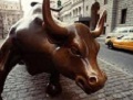 Energy bull