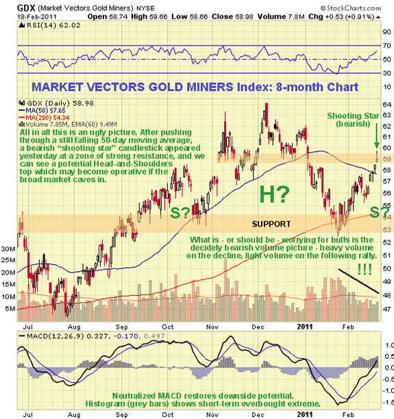 Market Vectors Gold Miners Index