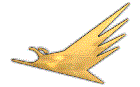 Condor Resources Plc