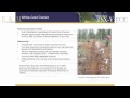ECC video