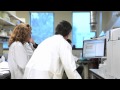 ORT Corporate video