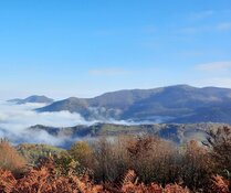 Exploration Co. Intercepts 284G/T Silver Equivalent, Extends Footprint in Bosnia