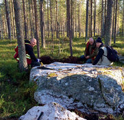 Mining Company Discovers Gold in Finland
