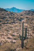 Silver Company Provides Exciting Update on Gold Find