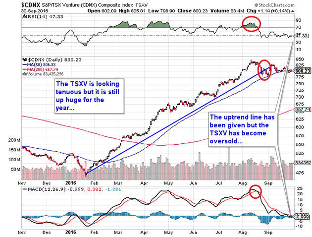 CDNX Chart