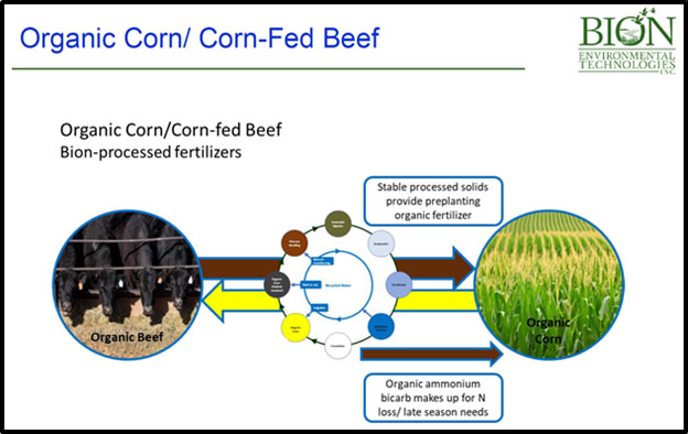 Bion Beef