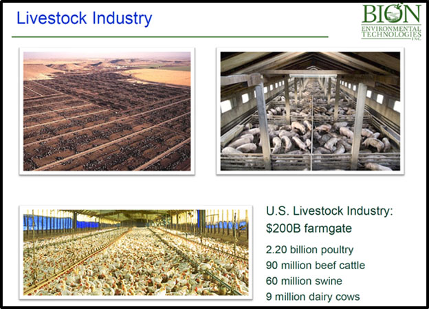 Livestock Industry