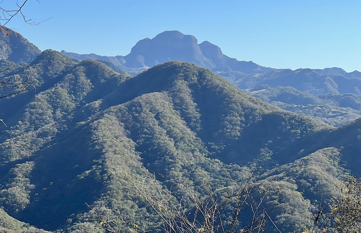 Gold Co. Sets New Drill Targets for Mexican Project