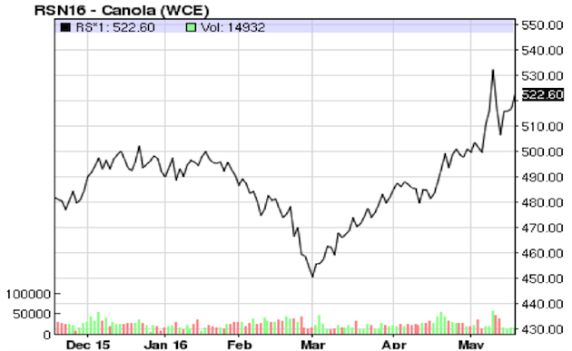 Canola price chart