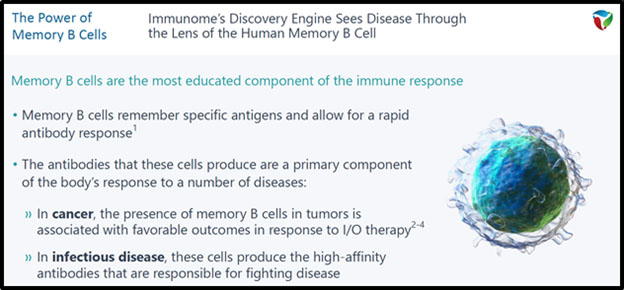 Immunone Memory B Cells