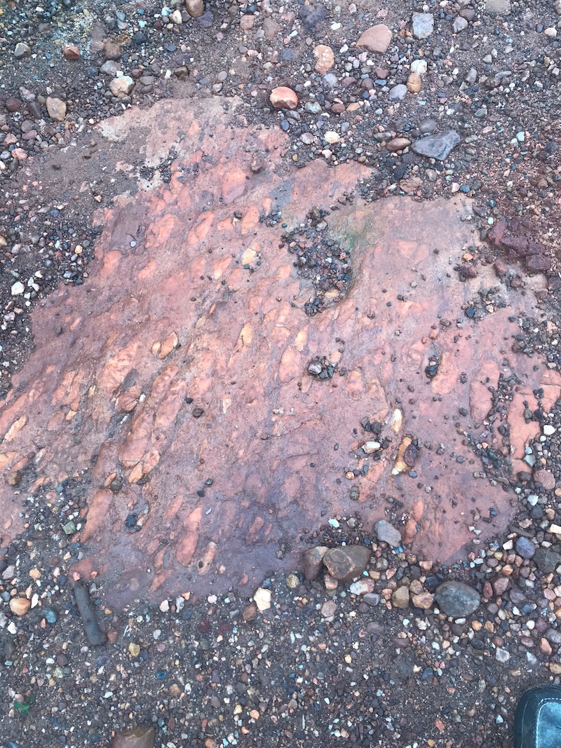 Conglomerate