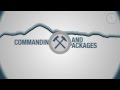 RRI in 90 Seconds