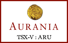 Learn More about Aurania Resources Ltd.