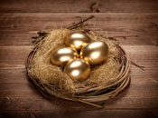 Golden eggs