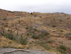 Junior Miner Finds 9.2 g/t Gold in Major Arizona Drill