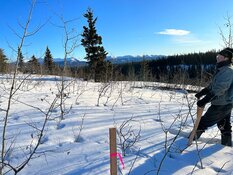 Metals Explorer Strikes Copper in Maiden Drill