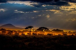 First 2025 Drill Results from Gold Asset in Tanzania Encouraging