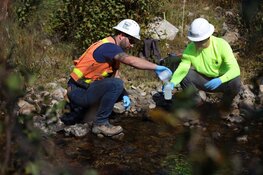 Gold-Antimony Asset Put on US List of Key Projects