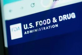 Report of FDA Drug Approval Delay is 'Likely Noise': Analyst
