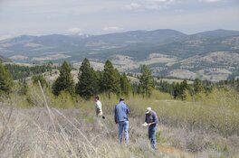 Adamera Minerals Defines Major IP Anomaly at South Hedley Copper-Gold Project
