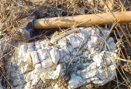 Lithium Explorer Strikes Again with Big Brazil Find