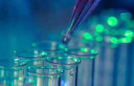 Canadian Biotech Advances High-Impact DDR Programs