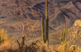 US$645M Copper Discovery Could Be Just the Beginning