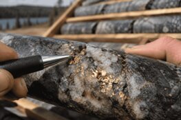 Visible Gold Appears in First-Ever Drill Program at New Target