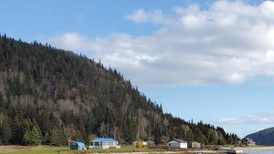 Mineral Explorer Finds Extensive Copper Mineralization in Newfoundland