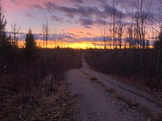 Resource Developer Drilling 7,500 Meters at Quesnelle's Halo Zone