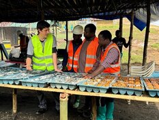 Liberian Gold Explorer with Near-Surface High-Grade Gold Announces Assay Results