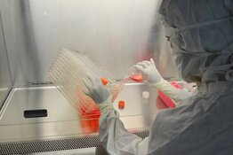 Genetic Medicines Co. Reveals Transformative 'Only-of-Its-Kind' AAV Therapy Milestone