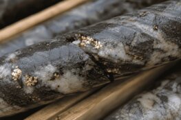 Gold Discovery Expands 38% as 34,990-Meter Drill Campaign Hits Mineralization in Every Hole