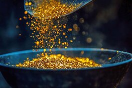 Mining Company Discovers High-Grade 209 g/t Gold in North Carolina