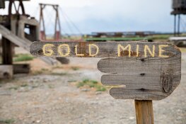 Explorer Lands 'Transformational' Gold Project in Nevada's Walker Lane