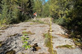 Gold Explorer With Quebec 'Land Play' Targets High-Grade Discovery at Mosseau