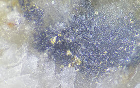 Mining Company Advances Significant Gold Projects in Nevada