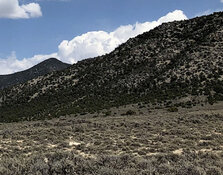 Gold Company Sparks Momentum With US$5M Raise in Idaho, Nevada