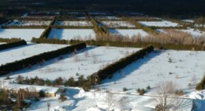 Gold Developer Secures All Major Permits in 2025, Targets Construction Decision in 2026