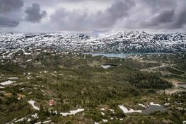 Cambria Gold Mines Advances Red Mountain Road Permit Amid Strong Analyst Targets