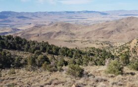 Junior Miner Confirms Million-Ounce Potential