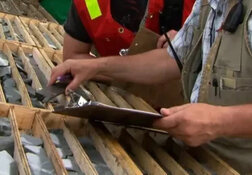 Exploration Firm Advances Massive Gold-Copper Project for Development